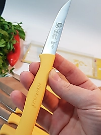 Sürbisa Meyve Takımı Sarı (6'lı) 61007 7.0 cm