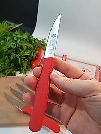 Sürbisa Meyve Takımı Kırmızı (6'lı)61007 7.0 cm