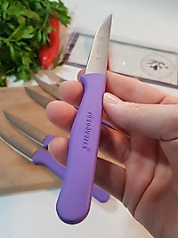 Sürbisa Meyve Takımı Mor (6'lı)61007 7.0 cm