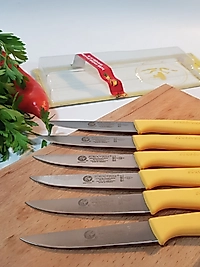 Sürdövbisa 61010 6'lı Meyve Seti (Sivri Uç ) Sarı