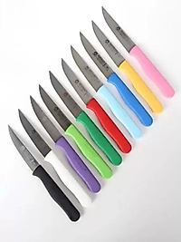 Sürdövbisa 61001 Meyve Bıçağı